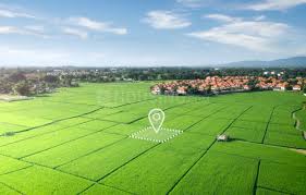 Badsa Plot Image